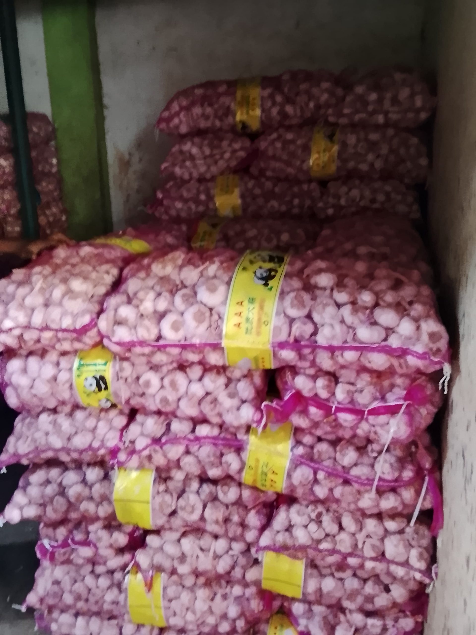 “, Budi Gautama Angkat Bicara: Ketua DPC AWI Kota Pontianak Desak Aparat Usut Dugaan Impor Ilegal Bawang Putih Merek Panda di Kota Pontianak  – Tim Monitoring Aliansi