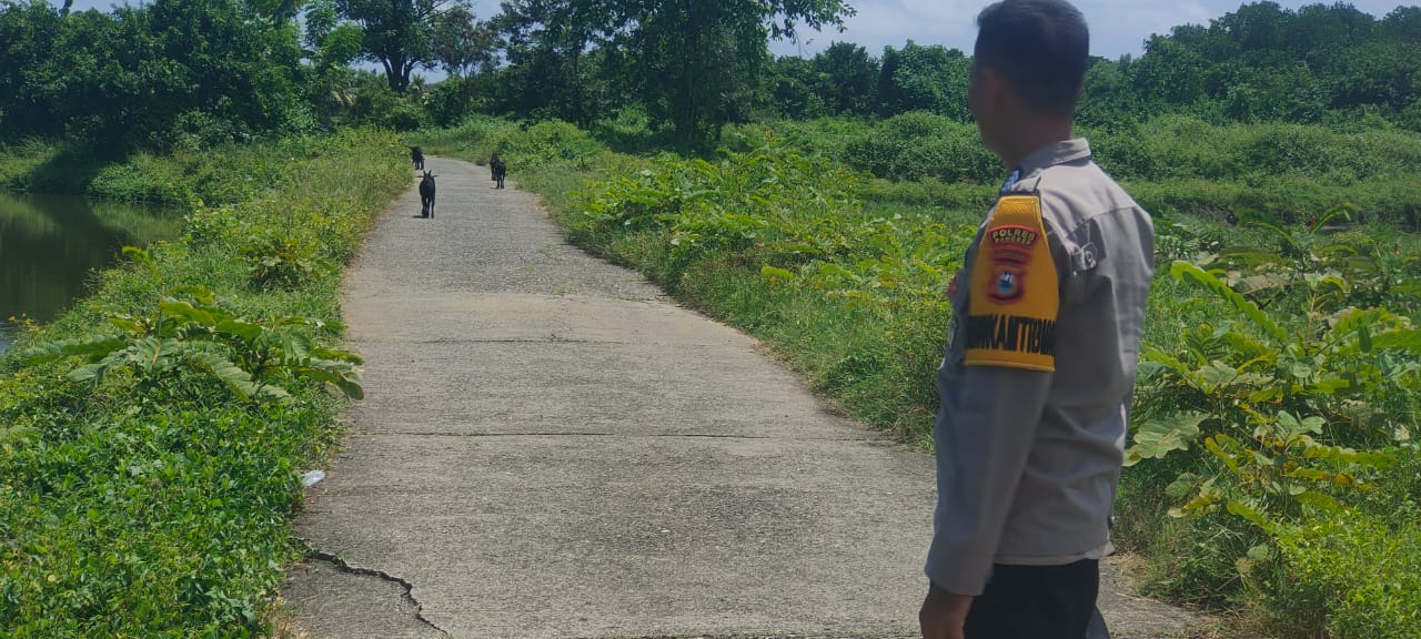 Polsek Mandalle Intensifkan Patroli, Antisipasi Pencurian Ternak di Desa Boddie