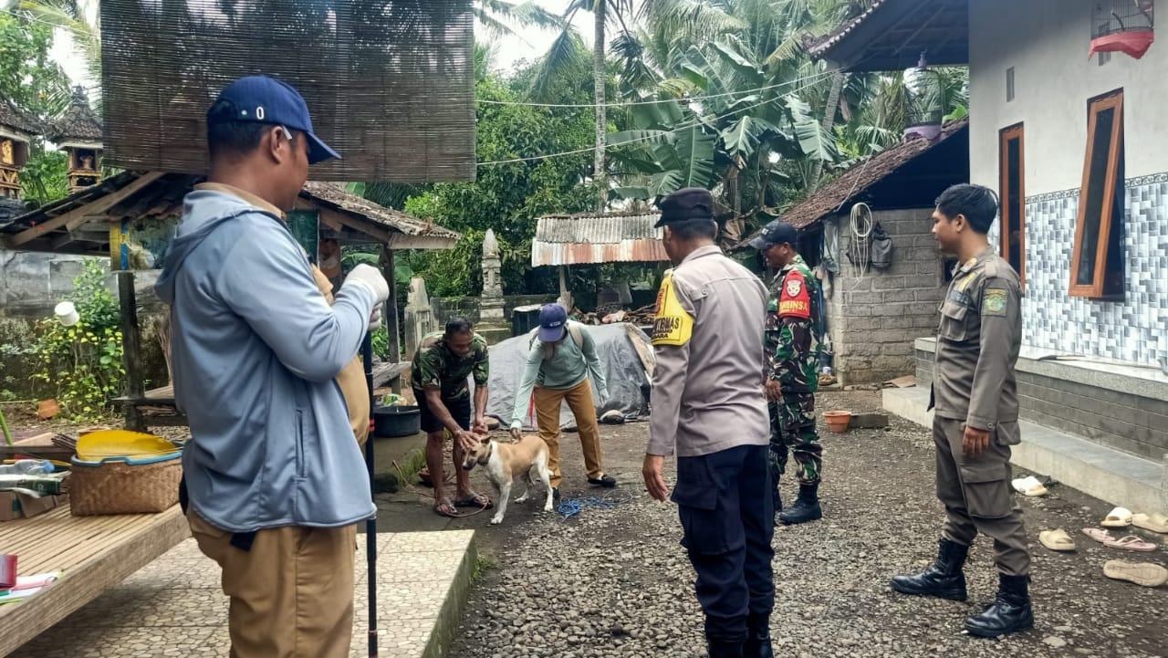 Bhabinkamtibmas Desa Berangbang Dampingi Vaksinasi Darurat Rabies, 32 Hewan Berhasil Divaksin