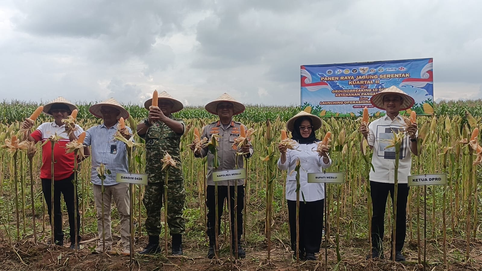 Polres Mesuji Gelar Panen Raya Jagung Serentak, di Desa Berasan Makmur