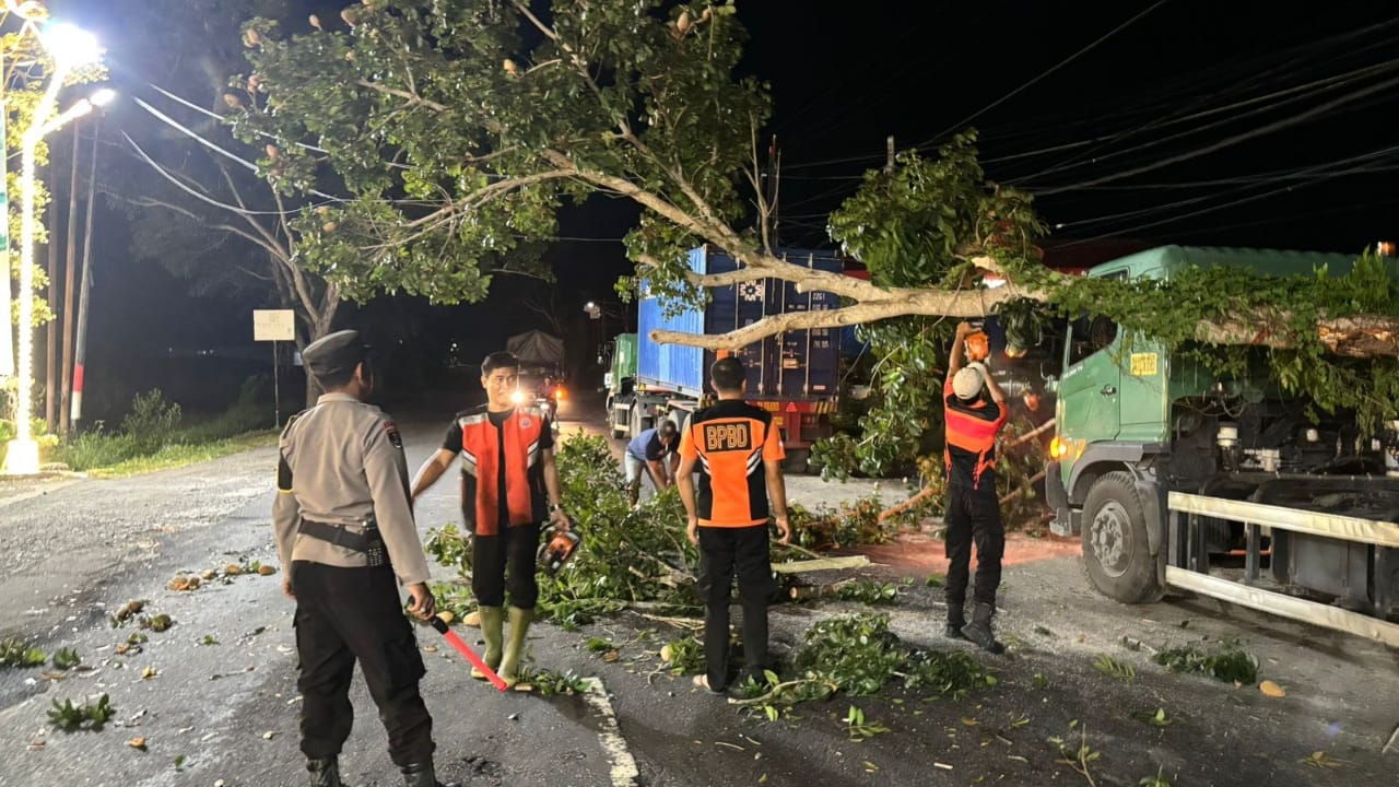Sigap Tangani Pohon Tumbang, Personel Gabungan Polres Jembrana Pastikan Arus Lalu Lintas Tetap Aman  Jembrana, 21 Mei 2026