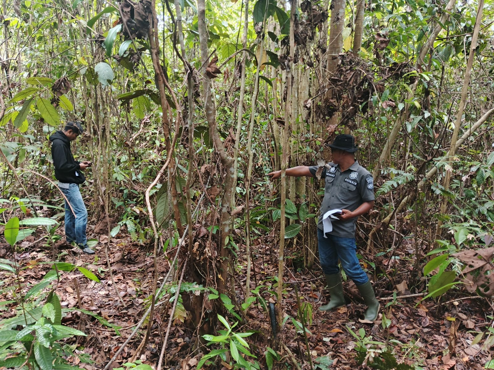 MISTERI TEWASNYA WARGA DI LOKASI TRANSMIGRASI DUSUN KEDONDONG DESA SERET AYON KEC.TEBAS KAB.SAMBAS JADI SOROTAN