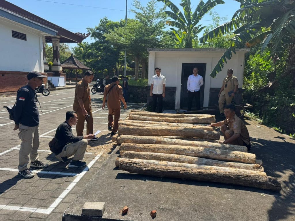 Polres Jembrana Ungkap Dugaan Illegal Logging di Melaya, Wujud Nyata Komitmen Menjaga Kelestarian Hutan