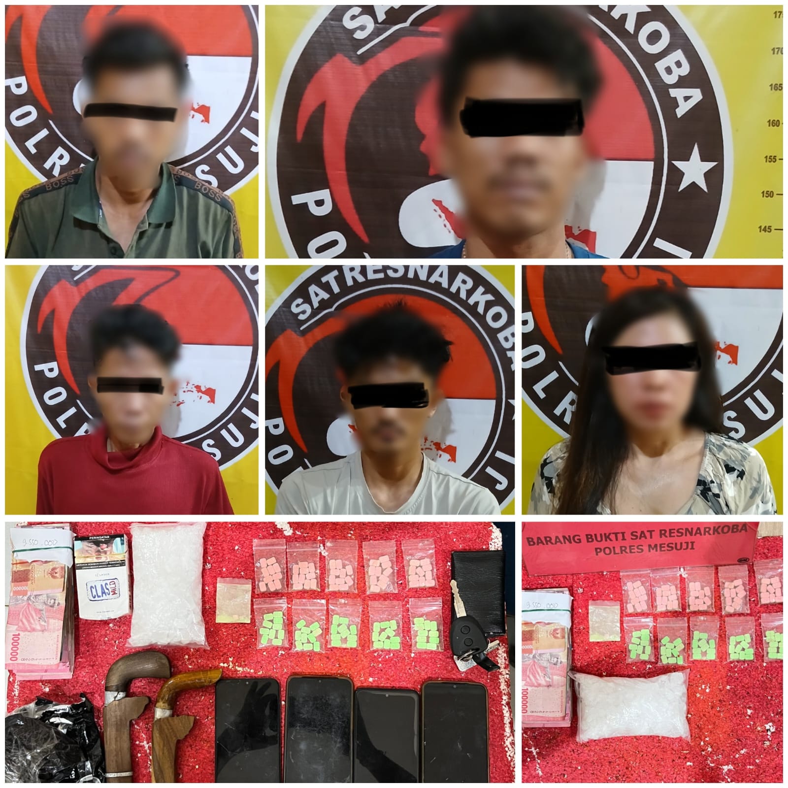 Miliki Sabu 293 Gram dan 100 Butir Pil Extacy Lima Orang Asal Provinsi Riau Ditangkap Jajaran Sat Res Narkoba Polres Mesuji*