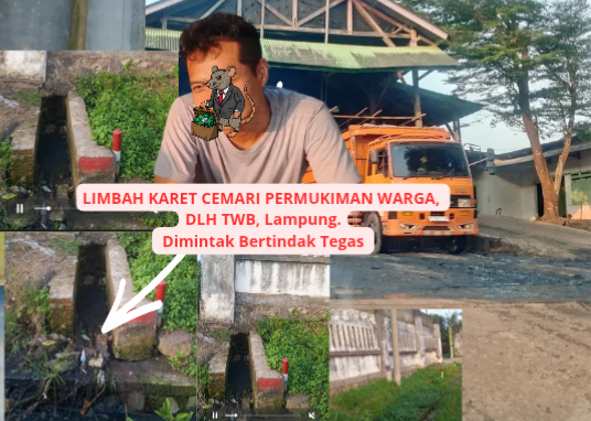 Pencemaran Lingkungan oleh Limbah Karet di Desa Kuripan. DLH Dimintak Tegas