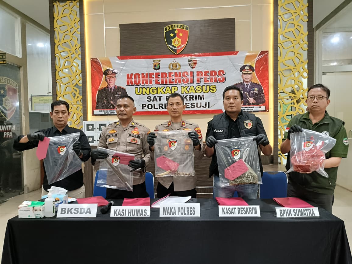 Bongkar Kasus Pembunuhan Satwa Dilindungi Jenis Tapir yang Viral, Sat Reskrim Polres Mesuji Tangkap 4 Tersangka*