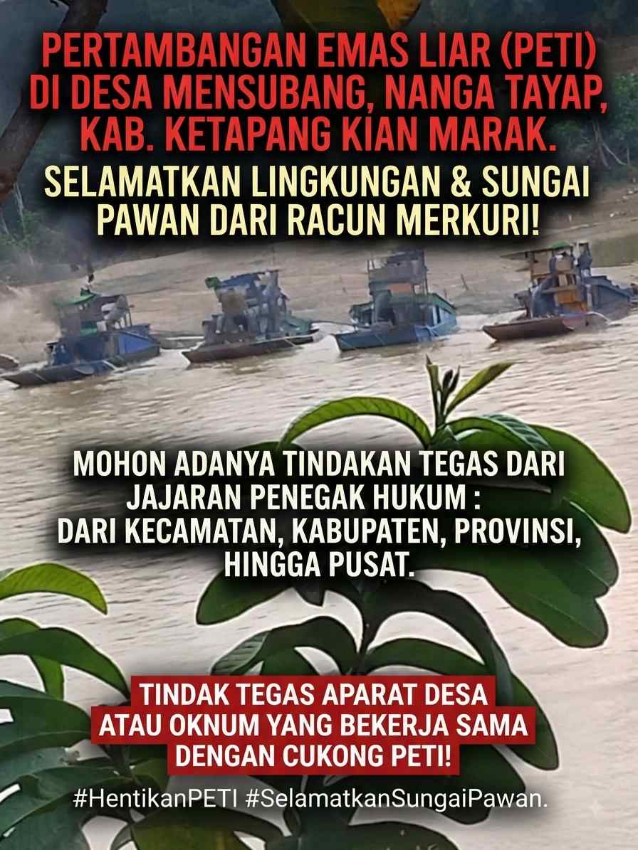 TAMBANG EMAS SUNGAI PAWAN KEMBALI MENGGELIAT: RAZIA APARAT DIDUGA BOCOR, PULUHAN POMPONG KEMBALI BERAKTIFITAS